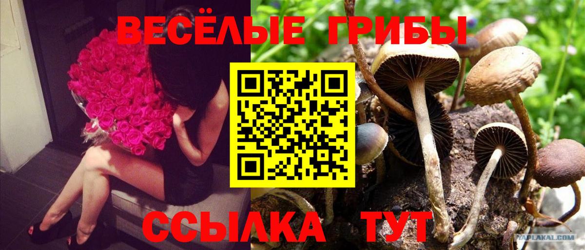 Псилоцибиновые грибы MAGIC MUSHROOMS Воркута